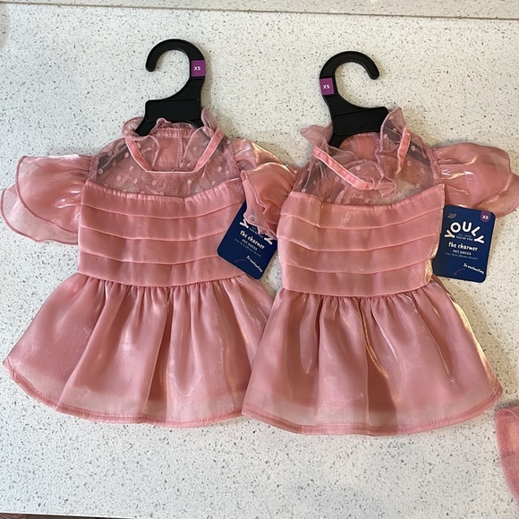 2 XS the Charmer Pet Dresses - Picture 2 of 2